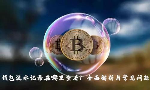 数字钱包流水记录在哪里查看? 全面解析与常见问题解析
