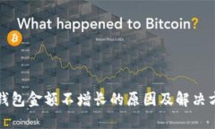 TP钱包金额不增长的原因及