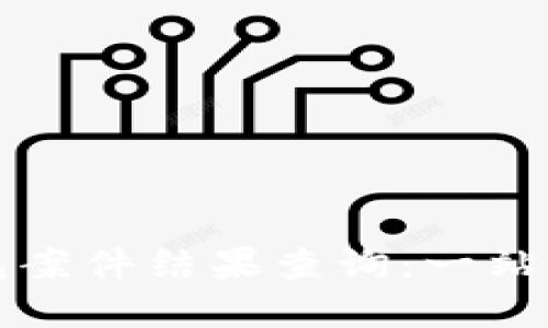 南安数字钱包案件结果查询：一站式获取与解读