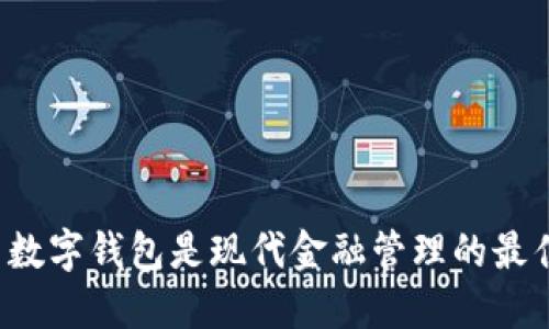 为什么数字钱包是现代金融管理的最佳选择？