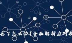 区块链冷钱包丢了怎么办