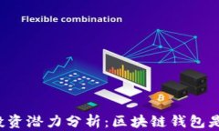 区块链钱包投资潜力分析