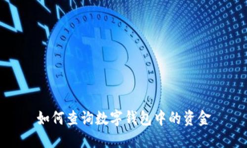 如何查询数字钱包中的资金