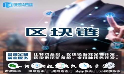 如何查询数字钱包中的资金