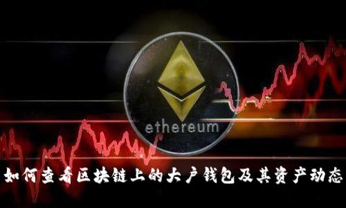 如何查看区块链上的大户钱包及其资产动态