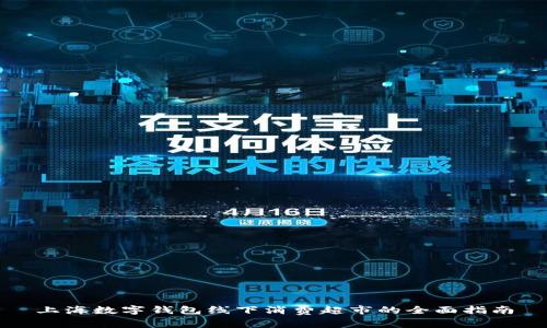 上海数字钱包线下消费超市的全面指南