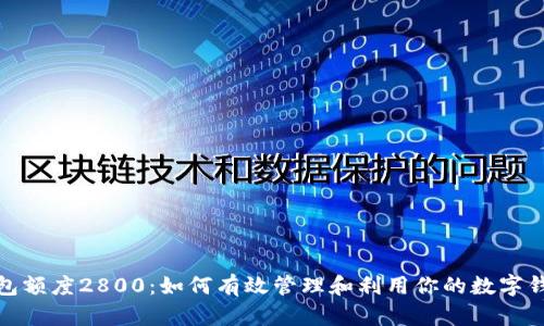 数字钱包额度2800：如何有效管理和利用你的数字钱包资源