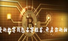 10个超可爱的数字钱包名字