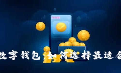 全球最安全的数字钱包：如何选择最适合你的电子钱包