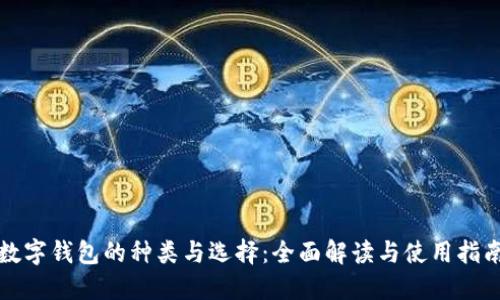 数字钱包的种类与选择：全面解读与使用指南