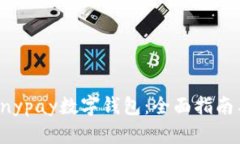 如何使用Anypay数字钱包：