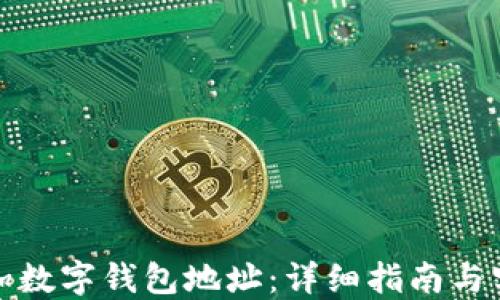 
如何添加数字钱包地址：详细指南与实用技巧