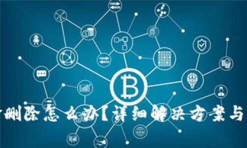 数字钱包资金删除怎么办？详细解决方案与常见问题解答