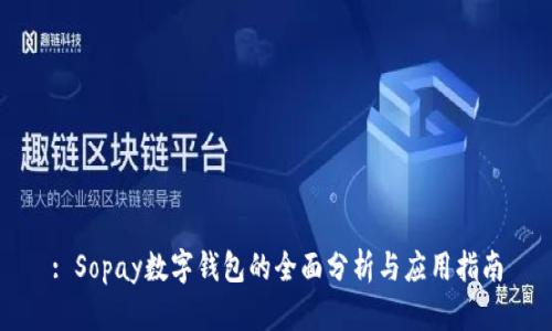 : Sopay数字钱包的全面分析与应用指南