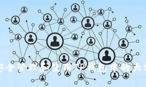 如何安全管理和使用TP钱包中的大额资金