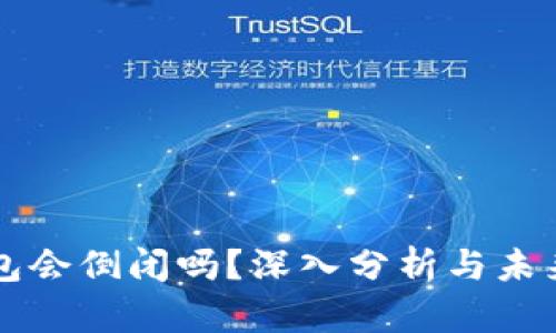 TP钱包会倒闭吗？深入分析与未来展望