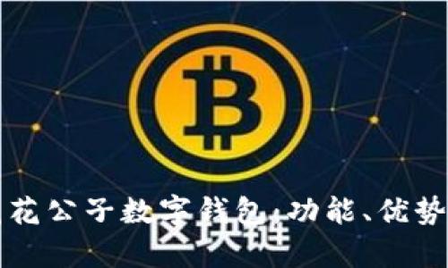 全面解析花花公子数字钱包：功能、优势与使用指南