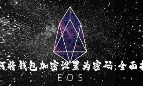 如何将钱包加密设置为密码：全面指南