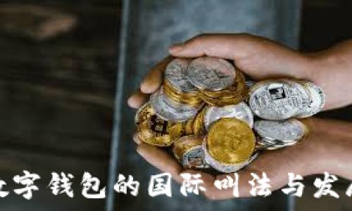   
了解数字钱包的国际叫法与发展概况