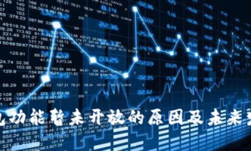 数字钱包功能暂未开放的原因及未来发展趋势