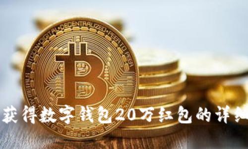 如何获得数字钱包20万红包的详细指南