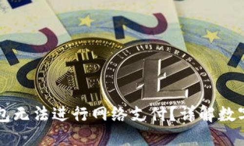 为什么我的数字钱包无法进行网络支付？详解数字钱包的功能与问题