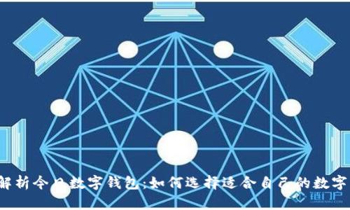 全面解析今日数字钱包：如何选择适合自己的数字钱包？