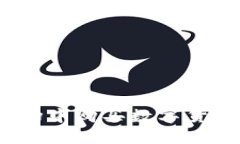 如何在TP钱包的一级市场中