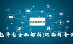 中国数字钱包平台全面解