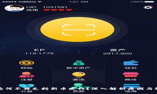 TP钱包为何不再支持新币发行？深入解析原因与解决方案