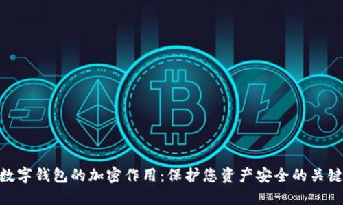 数字钱包的加密作用：保护您资产安全的关键