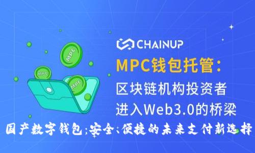 国产数字钱包：安全、便捷的未来支付新选择