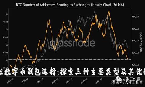 最佳数字币钱包选择：探索三种主要类型及其优缺点