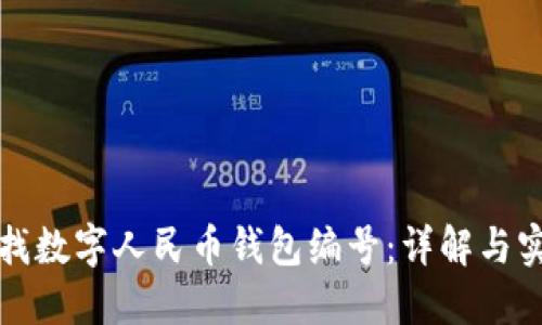 如何查找数字人民币钱包编号：详解与实用技巧