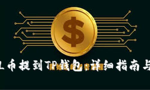 如何将FIL币提到TP钱包：详细指南与注意事项