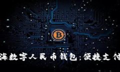 探秘上海数字人民币钱包