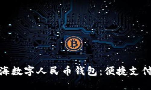 探秘上海数字人民币钱包：便捷支付新体验