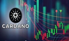 如何在TP钱包中添加观察钱