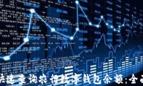 
如何快速查询农行数字钱包余额：全面指南