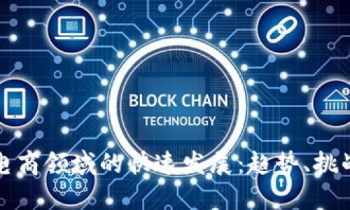 数字钱包在电商领域的快速发展：趋势、挑战与未来展望