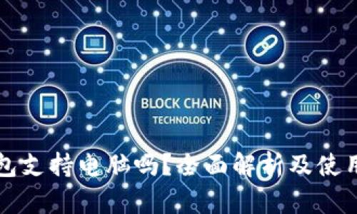 TP钱包支持电脑吗？全面解析及使用指南