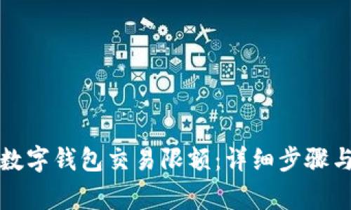 如何解除数字钱包交易限额：详细步骤与注意事项