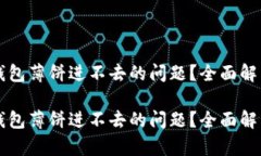 如何解决TP钱包薄饼进不去