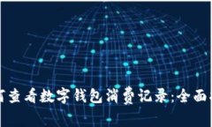 如何查看数字钱包消费记录：全面指导