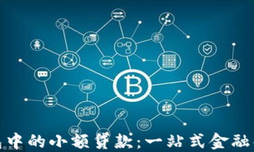 
数字钱包中的小额贷款：一站式金融解决方案