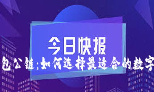 全面解析TP钱包公链：如何选择最适合的数字资产管理工具