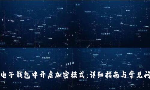 如何在电子钱包中开启加密模式：详细指南与常见问题解答