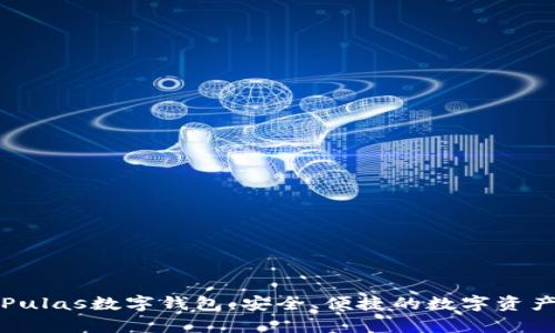 全面解析Pulas数字钱包：安全、便捷的数字资产管理方案