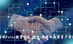 全面解析Pulas数字钱包：安全、便捷的数字资产管